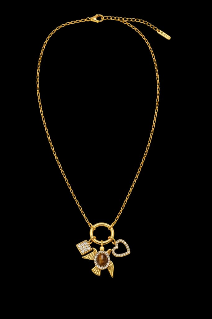 Colar Amuleto Solar Tigre Aço